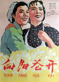 亚洲综合在线观看一区
